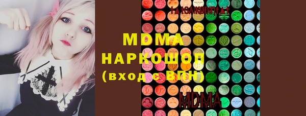 сатива Новозыбков