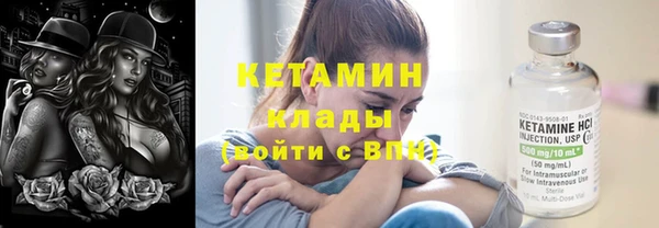 прущие грибы Новодвинск