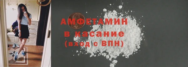 сатива Новозыбков