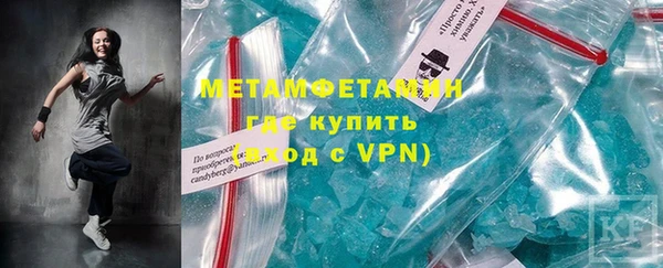 прущие грибы Новодвинск