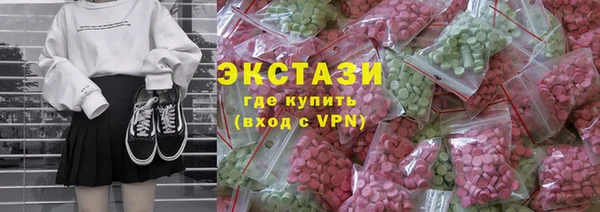 сатива Новозыбков