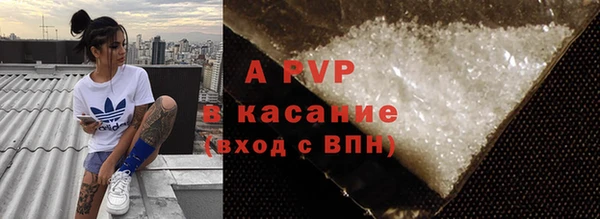 прущие грибы Новодвинск