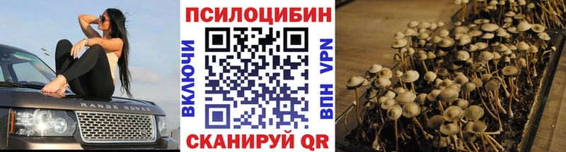 Псилоцибиновые грибы Psilocybine cubensis  Тюкалинск 